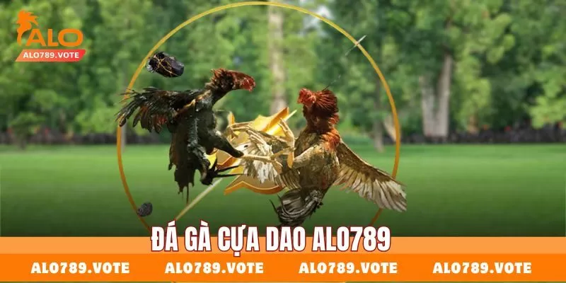 Đá gà cựa dao Alo789